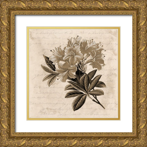 Love Letter Gold Ornate Wood Framed Art Print with Double Matting by Phillip, Jamie