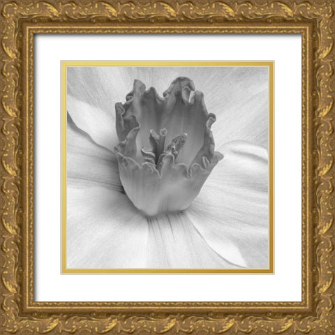 Floral Bud 2 Gold Ornate Wood Framed Art Print with Double Matting by Phillip, Jamie