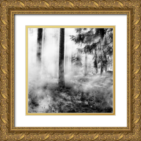 Black Forest Gold Ornate Wood Framed Art Print with Double Matting by Phillip, Jamie