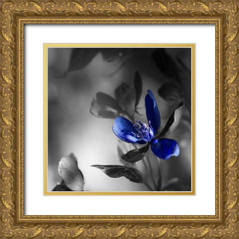 Blues Gold Ornate Wood Framed Art Print with Double Matting by Phillip, Jamie