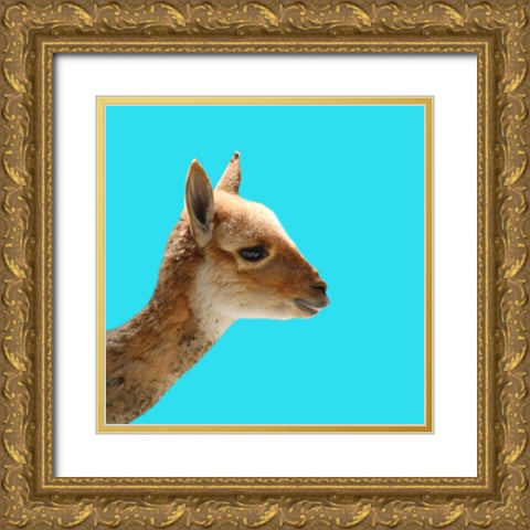 Llama Gold Ornate Wood Framed Art Print with Double Matting by Phillip, Jamie
