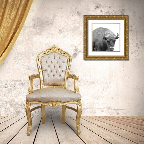 BW Bison Gold Ornate Wood Framed Art Print with Double Matting by Phillip, Jamie