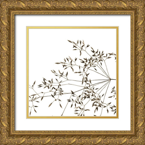 Rose Fillers Gold Ornate Wood Framed Art Print with Double Matting by Phillip, Jamie