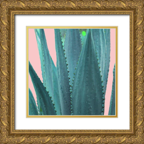 Succulent Gold Ornate Wood Framed Art Print with Double Matting by Phillip, Jamie