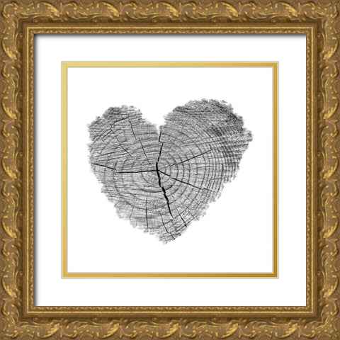 Love Stump 1 Gold Ornate Wood Framed Art Print with Double Matting by Phillip, Jamie