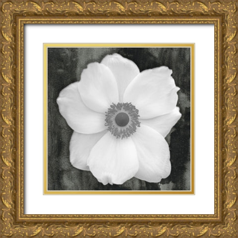White Flower Gold Ornate Wood Framed Art Print with Double Matting by Phillip, Jamie