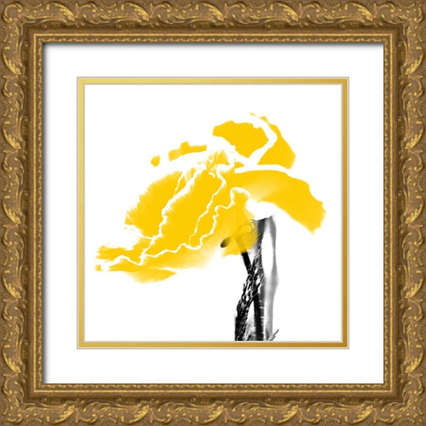 Plant Bloom Gold Ornate Wood Framed Art Print with Double Matting by Phillip, Jamie