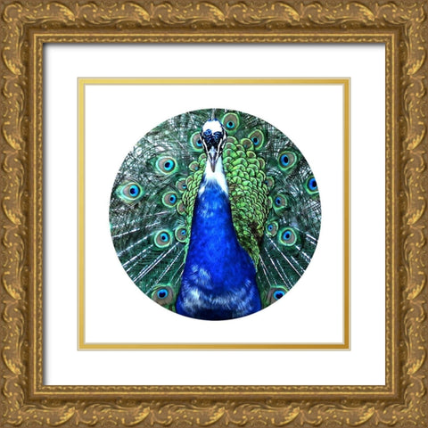 Round Peacock Gold Ornate Wood Framed Art Print with Double Matting by Phillip, Jamie
