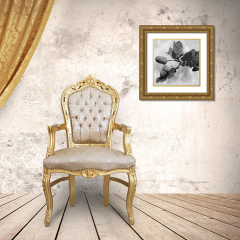 Botanical Trail Gold Ornate Wood Framed Art Print with Double Matting by Phillip, Jamie