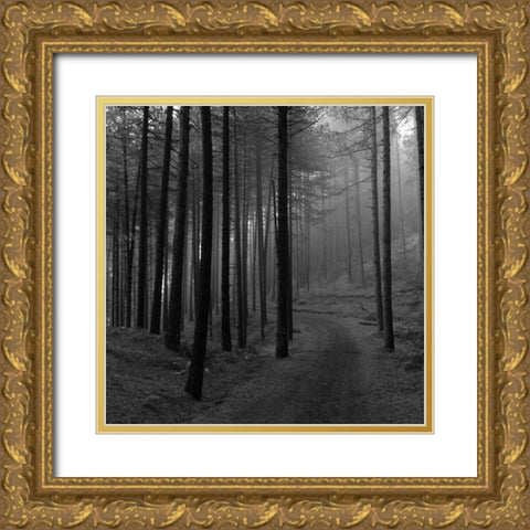 Forest 2 Gold Ornate Wood Framed Art Print with Double Matting by Phillip, Jamie
