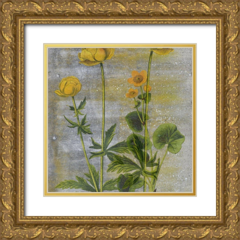 Wild Garden Gold Ornate Wood Framed Art Print with Double Matting by Phillip, Jamie