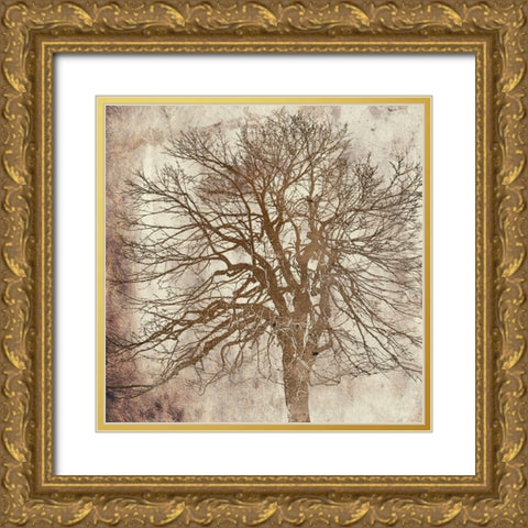 Big Tree Gold Ornate Wood Framed Art Print with Double Matting by Phillip, Jamie