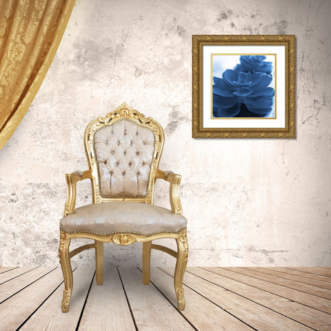 Succulent Photography 1 Gold Ornate Wood Framed Art Print with Double Matting by Phillip, Jamie