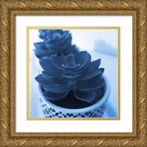 Succulent Photography 2 Gold Ornate Wood Framed Art Print with Double Matting by Phillip, Jamie
