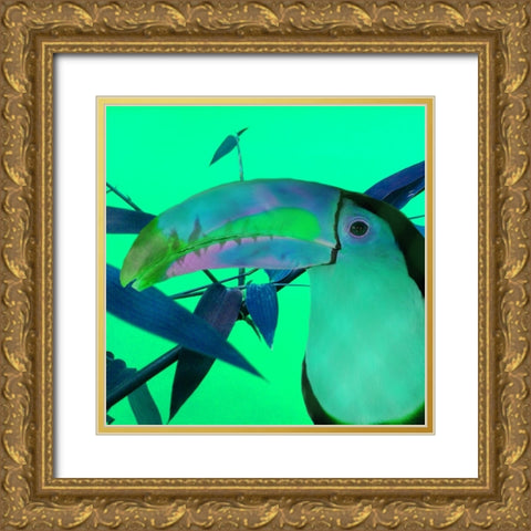 Toucan Glow Gold Ornate Wood Framed Art Print with Double Matting by Phillip, Jamie