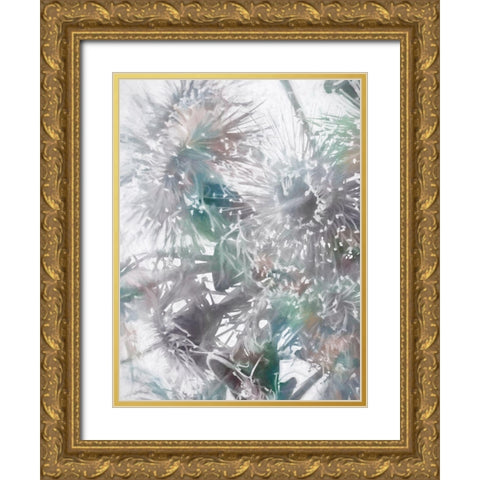 Flowering Gum II Gold Ornate Wood Framed Art Print with Double Matting by Urban Road