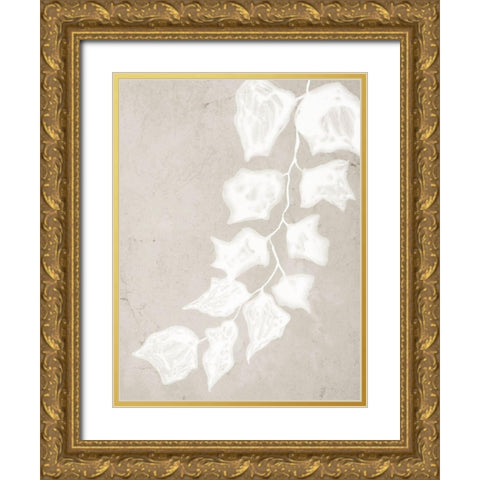 Paper Bark III  Gold Ornate Wood Framed Art Print with Double Matting by Urban Road