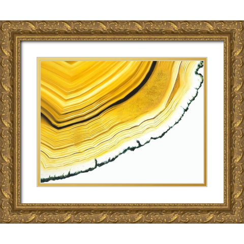 Agate Section Gold Ornate Wood Framed Art Print with Double Matting by Urban Road