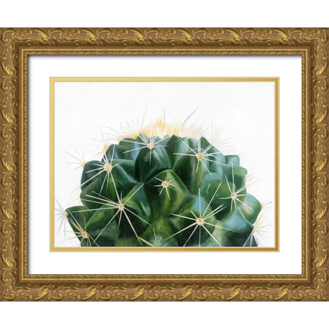 Cacti Gold Ornate Wood Framed Art Print with Double Matting by Urban Road