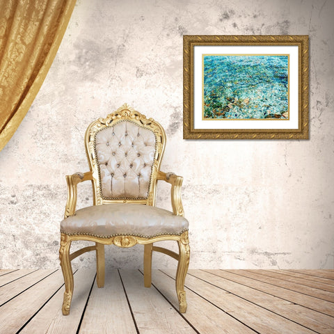 The Shallows Art Print Gold Ornate Wood Framed Art Print with Double Matting by Urban Road