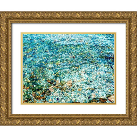 The Shallows Art Print Gold Ornate Wood Framed Art Print with Double Matting by Urban Road