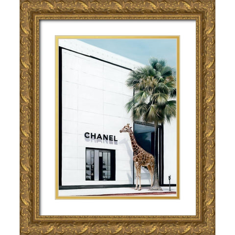 Rodeo Drive  Gold Ornate Wood Framed Art Print with Double Matting by Urban Road