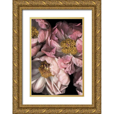 Hopeful II Gold Ornate Wood Framed Art Print with Double Matting by Urban Road