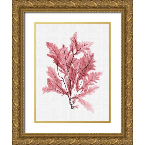 Aruba Blush Poster Gold Ornate Wood Framed Art Print with Double Matting by Urban Road