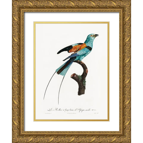 Songbird I Poster Gold Ornate Wood Framed Art Print with Double Matting by Urban Road