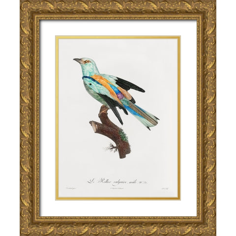 Songbird II Poster Gold Ornate Wood Framed Art Print with Double Matting by Urban Road