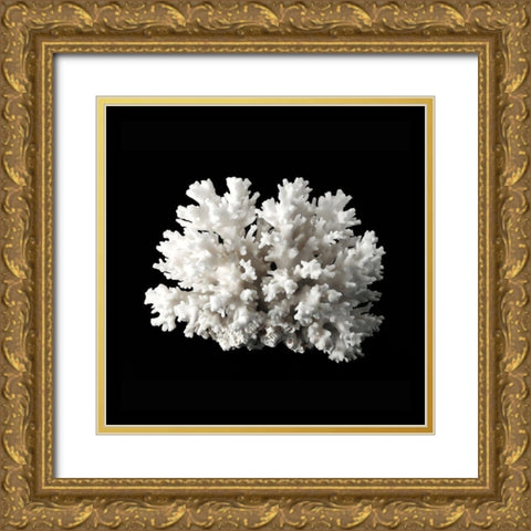 White Coral II  Gold Ornate Wood Framed Art Print with Double Matting by Urban Road