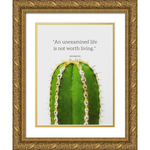 Socrates Quote: Unexamined Life Gold Ornate Wood Framed Art Print with Double Matting by ArtsyQuotes