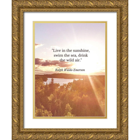 Ralph Waldo Emerson Quote: Swim the Sea Gold Ornate Wood Framed Art Print with Double Matting by ArtsyQuotes