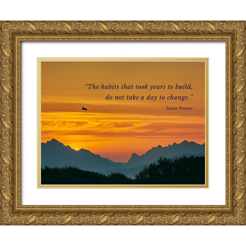 Susan Powter Quote: The Habits Gold Ornate Wood Framed Art Print with Double Matting by ArtsyQuotes