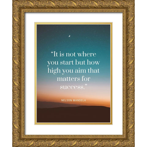 Nelson Mandela Quote: Matters for Success Gold Ornate Wood Framed Art Print with Double Matting by ArtsyQuotes