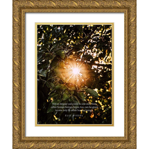 Elie Wiesel Quote: Despair Gold Ornate Wood Framed Art Print with Double Matting by ArtsyQuotes