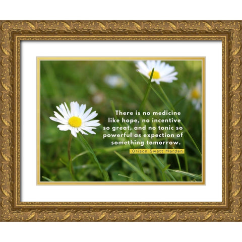 Orison Swett Marden Quote: Expectation Gold Ornate Wood Framed Art Print with Double Matting by ArtsyQuotes