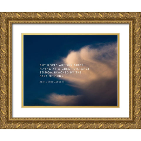 John James Audubon Quote: Shy Birds Flying Gold Ornate Wood Framed Art Print with Double Matting by ArtsyQuotes