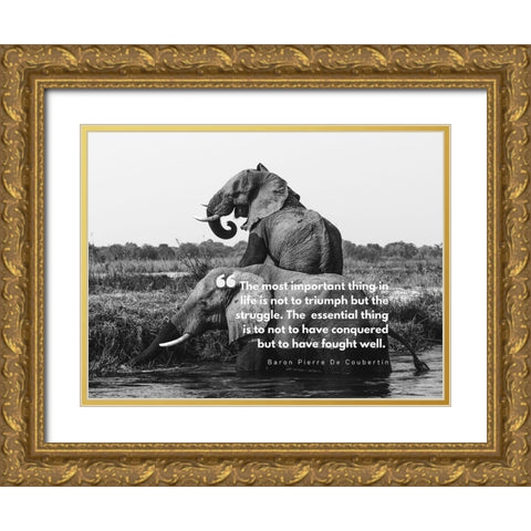 Baron Pierre De Coubertin Quote: Life is Not to Triumph Gold Ornate Wood Framed Art Print with Double Matting by ArtsyQuotes