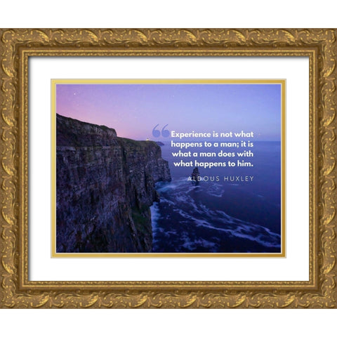 Aldous Huxley Quote: Experience Gold Ornate Wood Framed Art Print with Double Matting by ArtsyQuotes