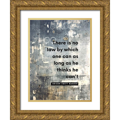 Orison Swett Marden Quote: There is No Law Gold Ornate Wood Framed Art Print with Double Matting by ArtsyQuotes