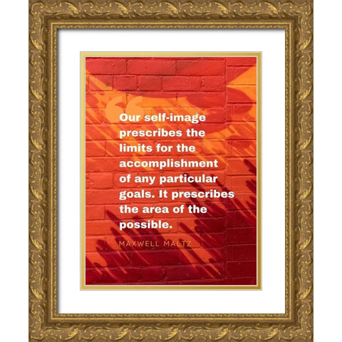 Maxwell Maltz Quote: Particular Goals Gold Ornate Wood Framed Art Print with Double Matting by ArtsyQuotes