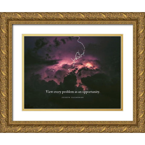 Joseph Sugarman Quote: Every Problem Gold Ornate Wood Framed Art Print with Double Matting by ArtsyQuotes