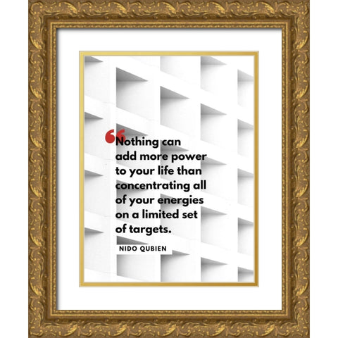 Nido Qubein Quote: Limited Set of Targets Gold Ornate Wood Framed Art Print with Double Matting by ArtsyQuotes