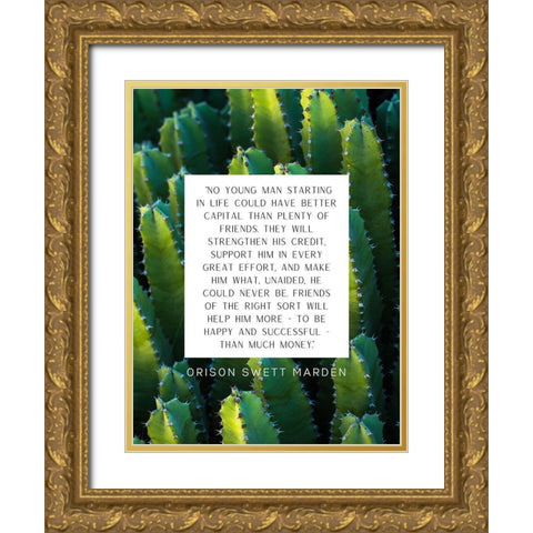 Orison Swett Marden Quote: Plenty of Friends Gold Ornate Wood Framed Art Print with Double Matting by ArtsyQuotes