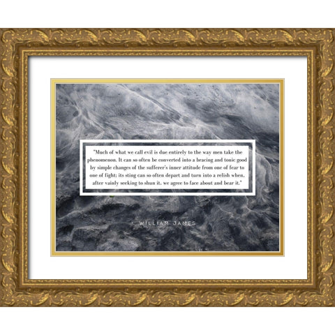 William James Quote: Phenomenon Gold Ornate Wood Framed Art Print with Double Matting by ArtsyQuotes