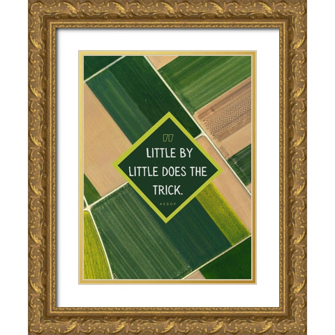 Aesop Quote: Little by Little Gold Ornate Wood Framed Art Print with Double Matting by ArtsyQuotes