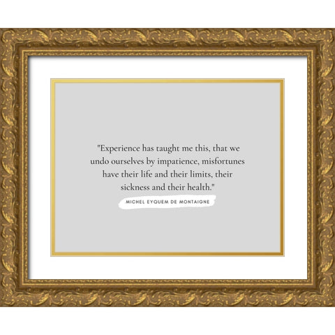 Michel Eyquem De Montaigne Quote: Experience Gold Ornate Wood Framed Art Print with Double Matting by ArtsyQuotes
