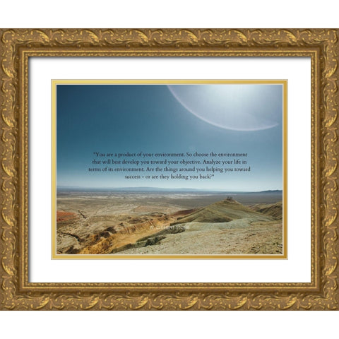 W. Clement Stone Quote: Your Environment Gold Ornate Wood Framed Art Print with Double Matting by ArtsyQuotes