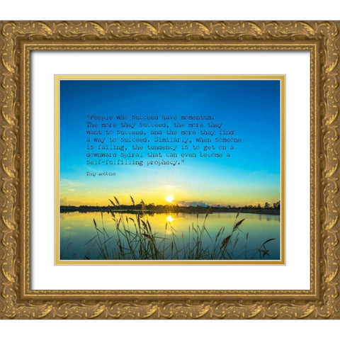 Tony Robbins Quote: Want to Succeed Gold Ornate Wood Framed Art Print with Double Matting by ArtsyQuotes